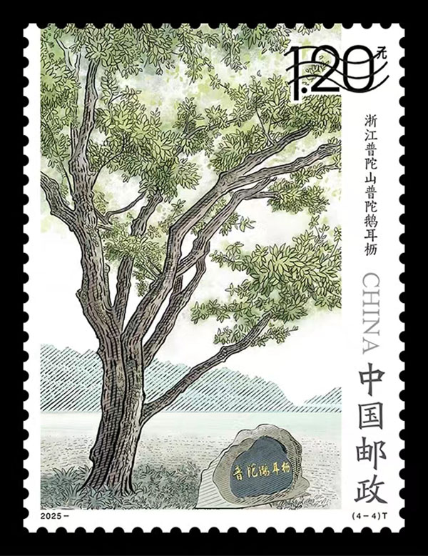 微信图片_20250713112125.jpg