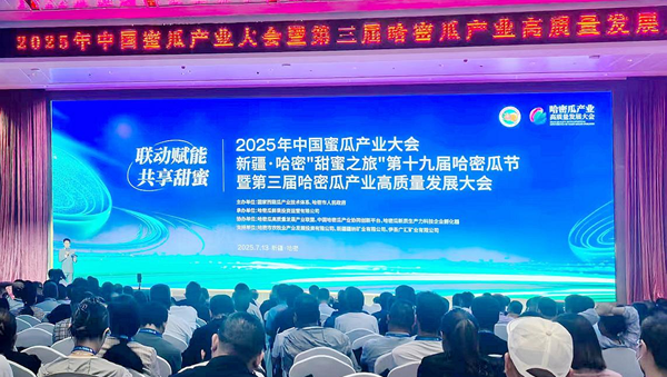 图片13.png