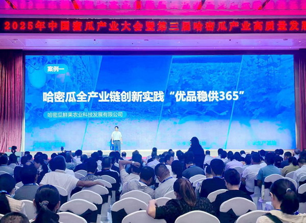 图片14.png