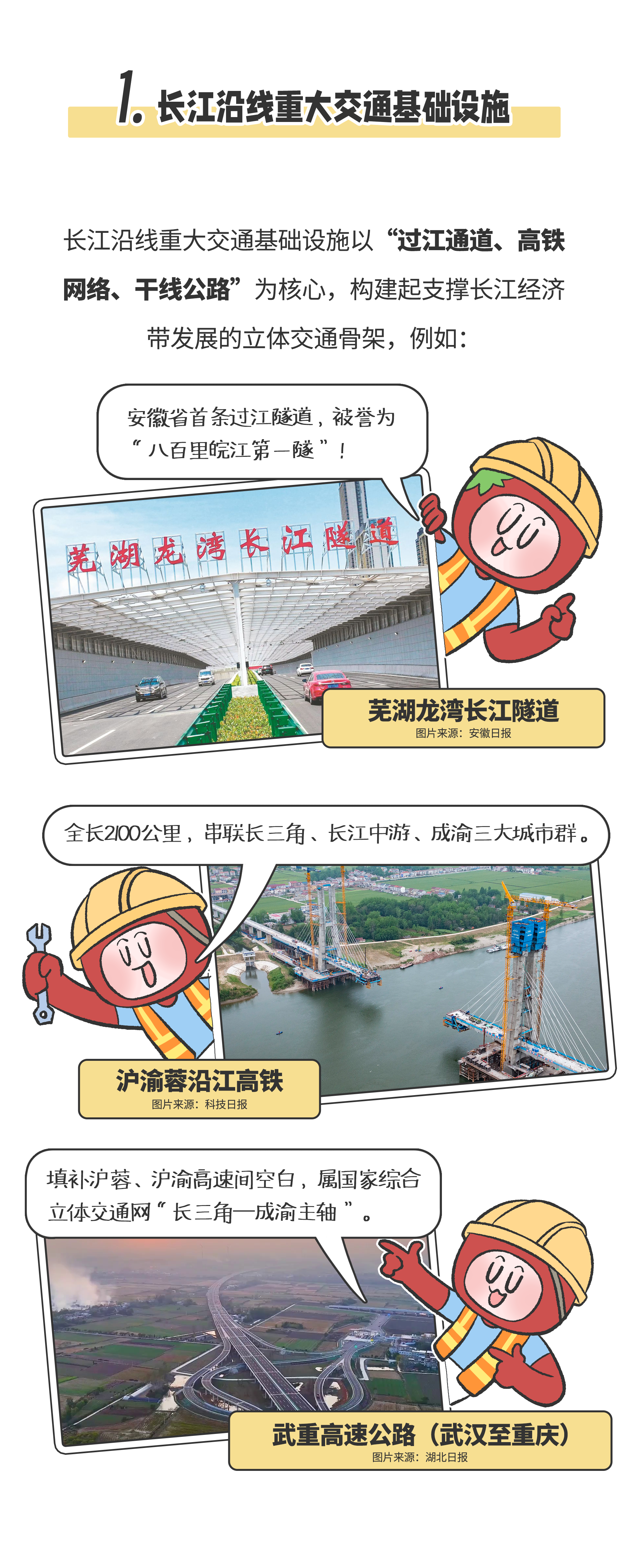 画板 3.png