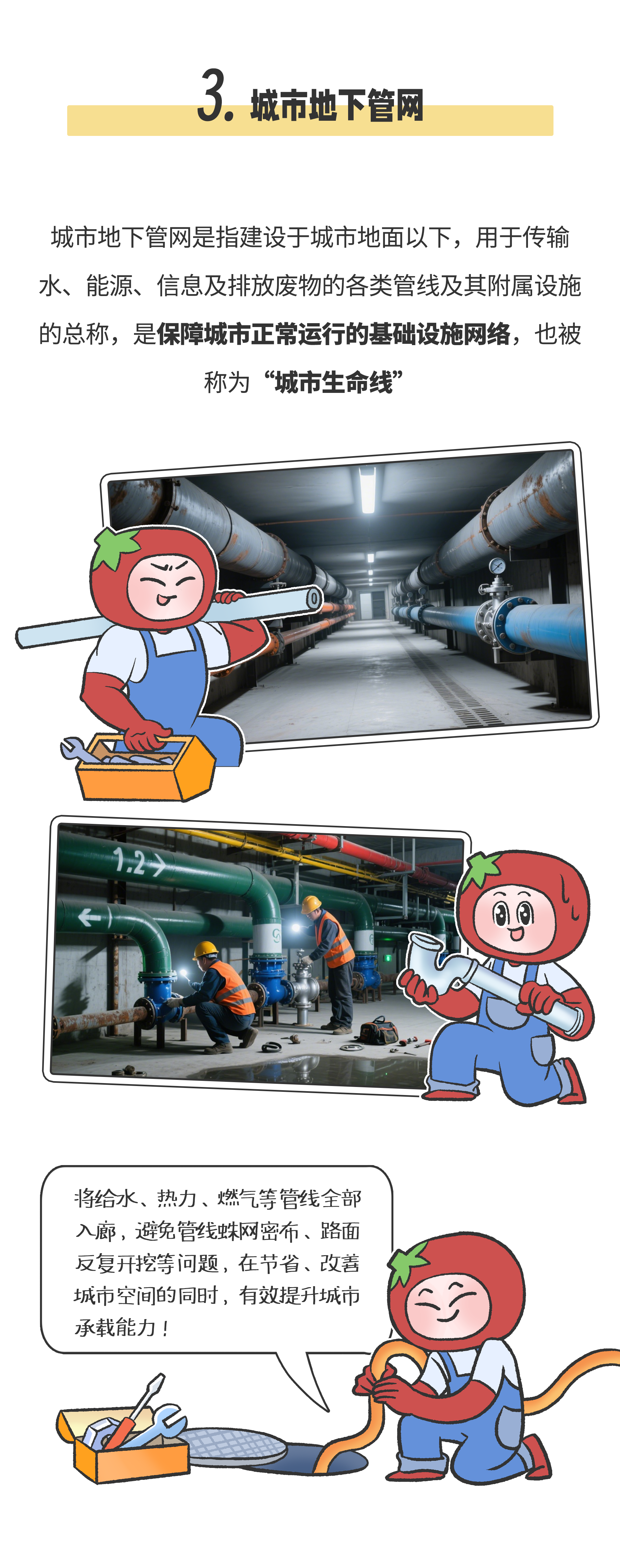 画板 5.png