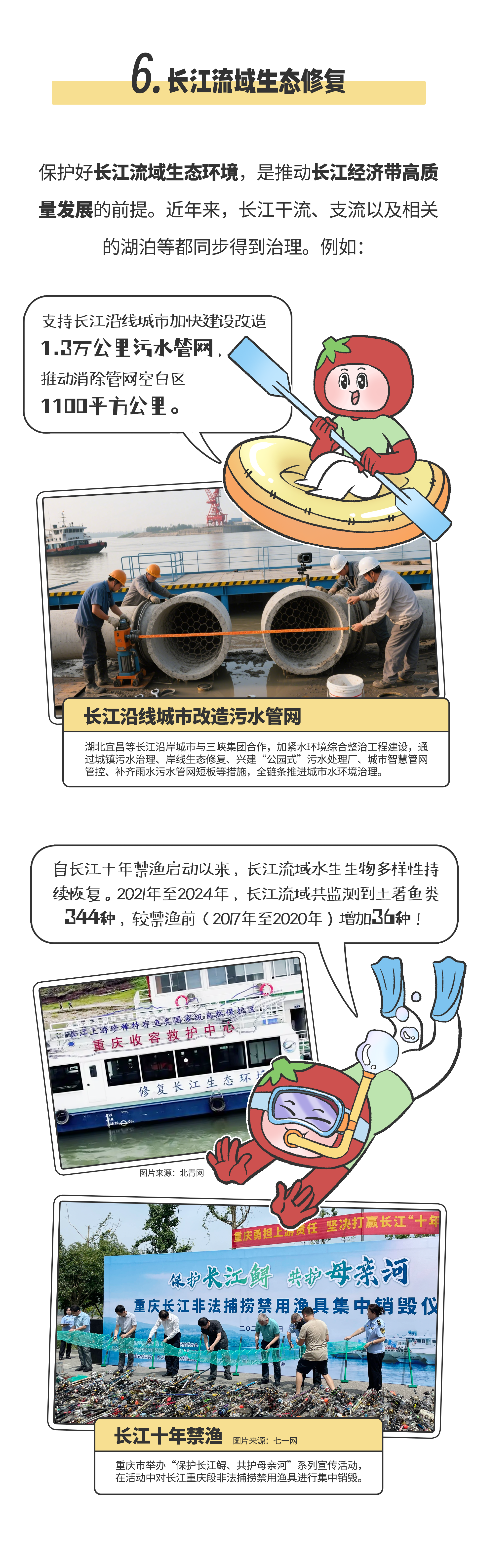 画板 8.png
