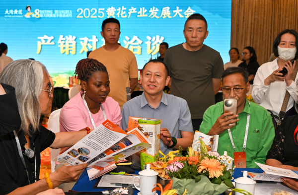 图片2 拷贝.jpg