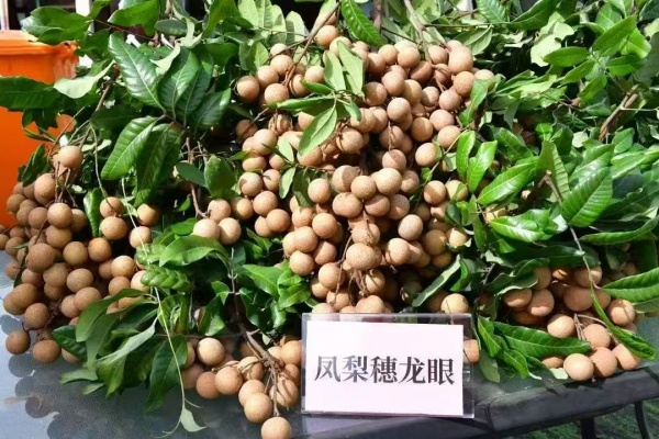 301d640f659499ea7c1b5857942c8dc_副本.jpg