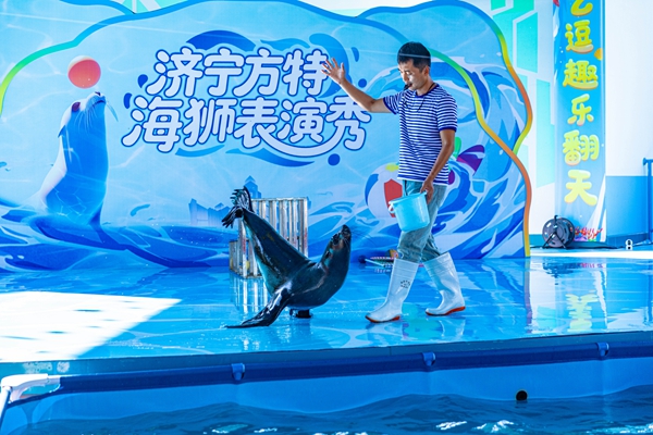 海狮欢乐秀.jpg