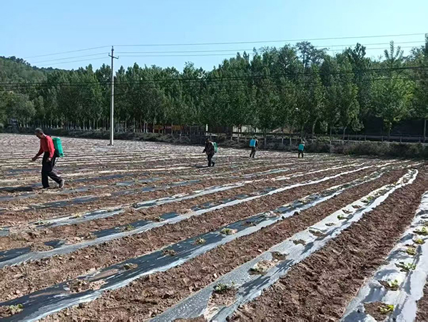 微信图片_202508121527311.jpg