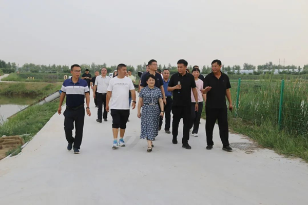 图片15.png