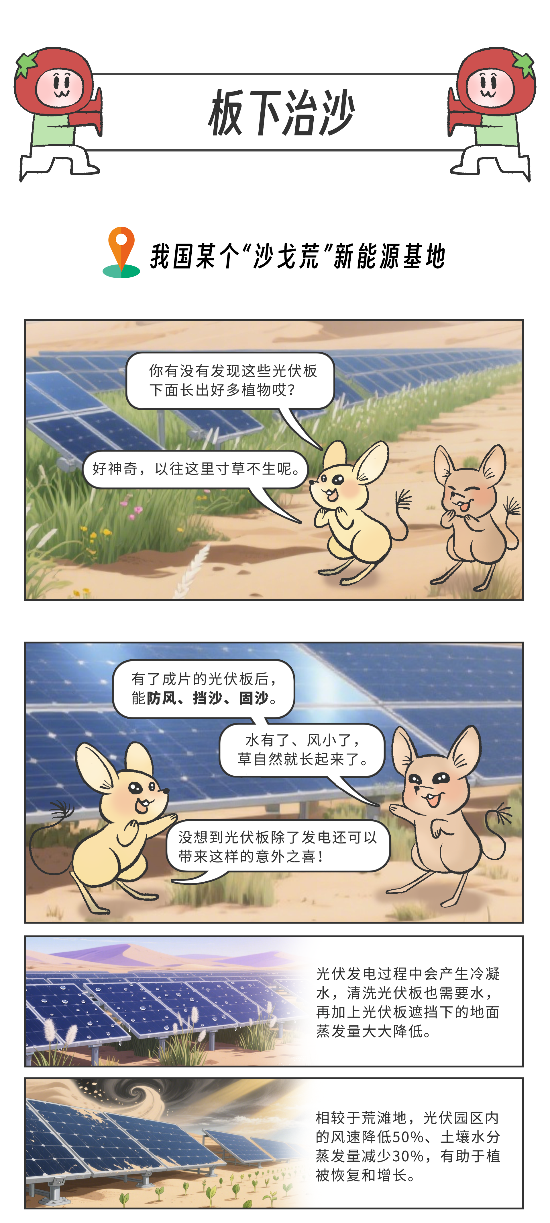 画板 5.png