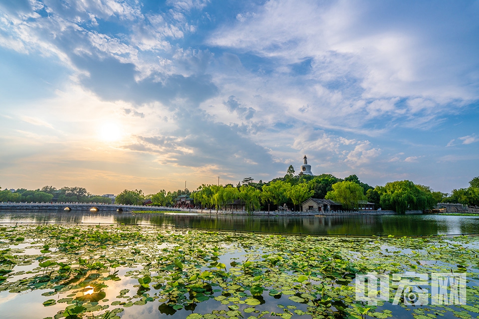 仲夏的北京北海公园。