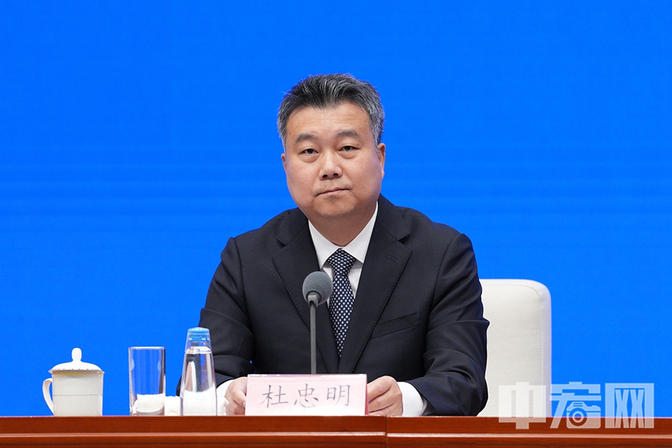 国家能源局电力司司长杜忠明。 中宏网记者 富宇 摄