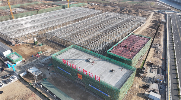 1.15 淮河03.jpg