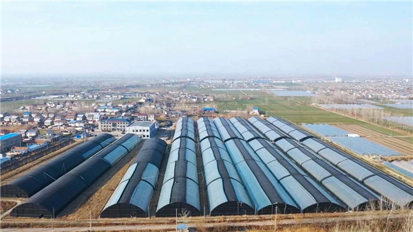 3.3 淮河 204.jpg