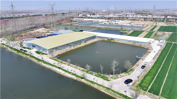 4.7 淮河107.jpg