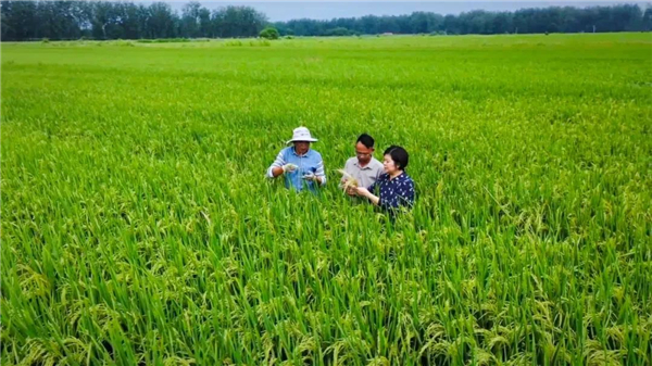 4.14 淮河404.jpg