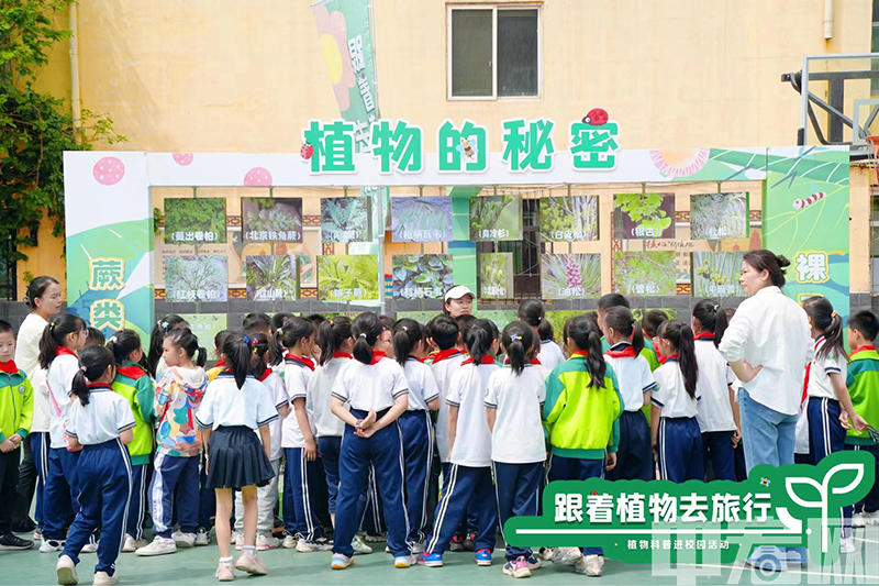 植物园22.jpg