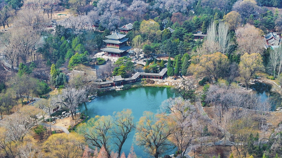 3月4日拍攝的太原晉祠公園，春意融融，畫意無限。隨著氣溫逐漸回暖，不少市民走出家門踏春賞景，感受春天的氣息。（記者 李兆民 攝）