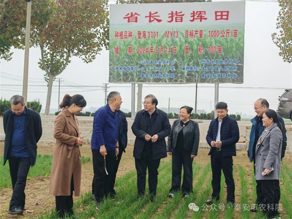 微信圖片_20241113125253.jpg