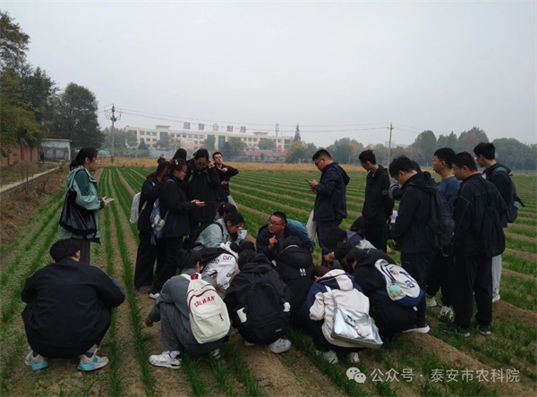 微信圖片_20241114161046.jpg