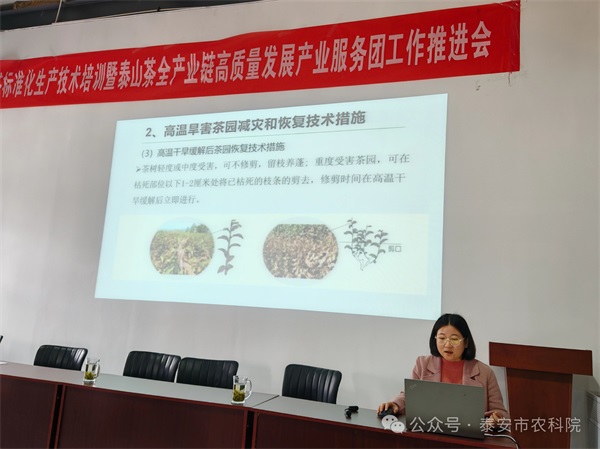 微信圖片_20241122194316.jpg