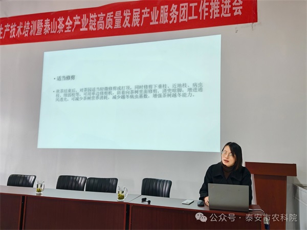 微信圖片_20241122194313.jpg