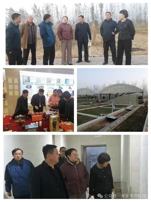 微信圖片_20241205211308.jpg