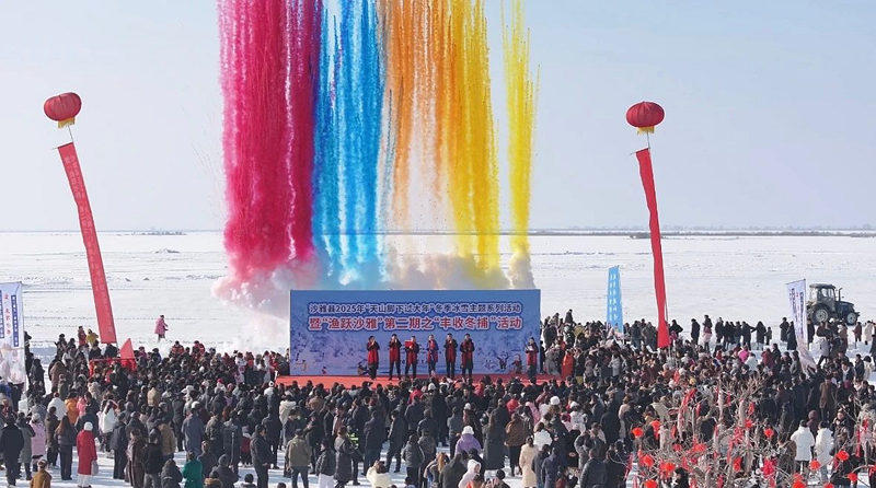 图片41.png